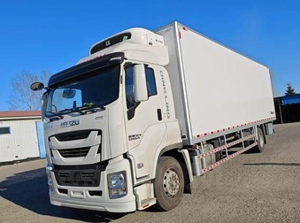 Isuzu Giga (C-series), 2024 год, 12 900 000 рублей, 1 фотография