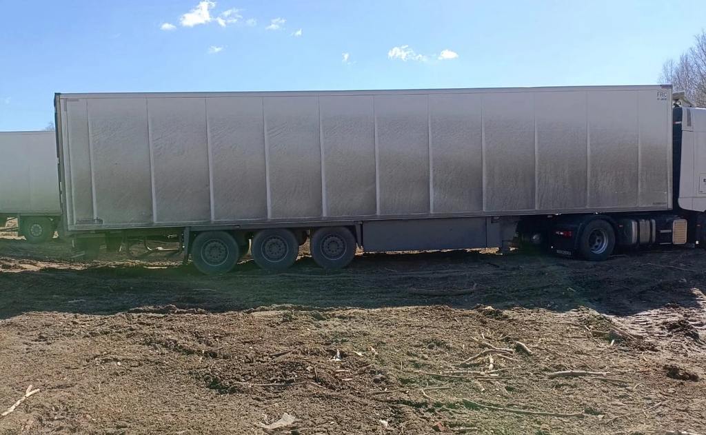 Schmitz Cargobull SKO, 2024 год, 8 460 000 рублей, 4 фотография
