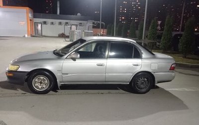 Toyota Corolla, 1995 год, 255 000 рублей, 1 фотография