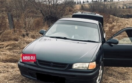 Toyota Corolla, 1996 год, 355 000 рублей, 2 фотография