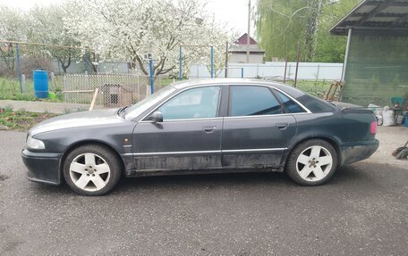 Audi A8, 1997 год, 300 000 рублей, 3 фотография