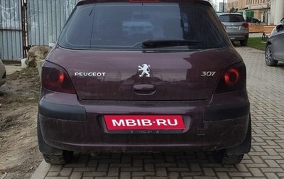 Peugeot 307 I, 2007 год, 320 000 рублей, 1 фотография