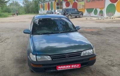 Toyota Corolla, 1995 год, 260 000 рублей, 1 фотография