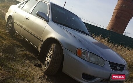 Toyota Corolla, 2001 год, 300 000 рублей, 1 фотография