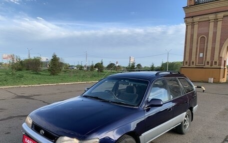 Toyota Corolla, 1995 год, 400 000 рублей, 1 фотография