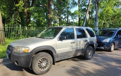 Ford Escape II, 2004 год, 610 000 рублей, 1 фотография