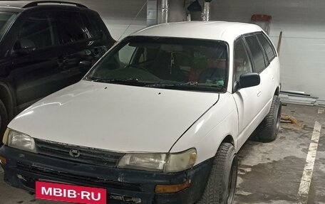 Toyota Corolla, 1998 год, 220 000 рублей, 2 фотография