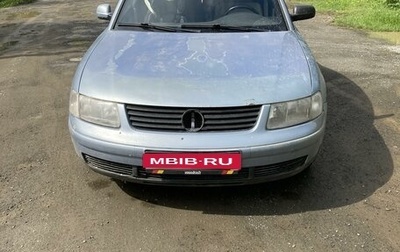 Volkswagen Passat B5+ рестайлинг, 1999 год, 480 000 рублей, 1 фотография