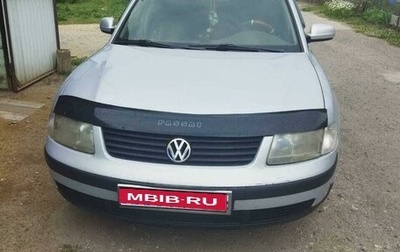 Volkswagen Passat B5+ рестайлинг, 1999 год, 400 000 рублей, 1 фотография