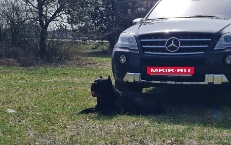 Mercedes-Benz M-Класс AMG, 2008 год, 2 200 000 рублей, 2 фотография