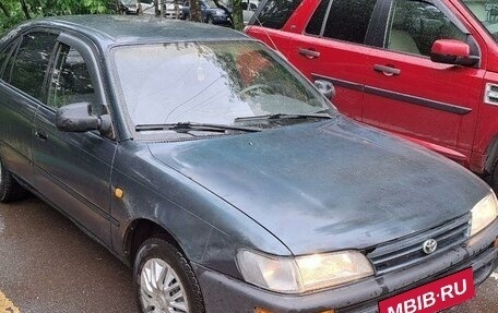 Toyota Corolla, 1995 год, 300 000 рублей, 3 фотография