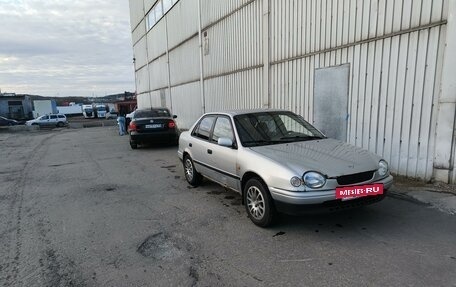 Toyota Corolla, 1998 год, 280 000 рублей, 2 фотография