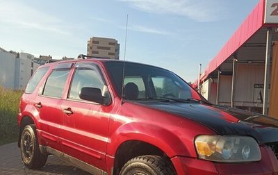 Ford Escape II, 2004 год, 420 000 рублей, 1 фотография