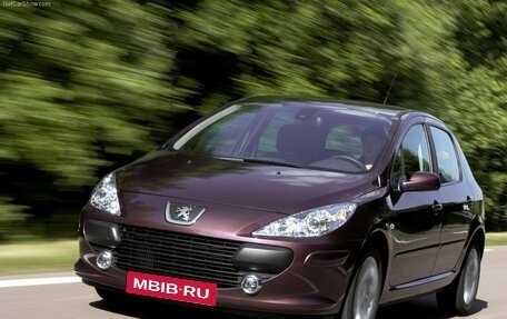 Peugeot 307 I, 2007 год, 570 000 рублей, 1 фотография