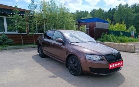 Skoda Octavia, 2013 год, 790 000 рублей, 4 фотография