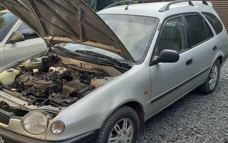 Toyota Corolla, 1998 год, 345 000 рублей, 5 фотография