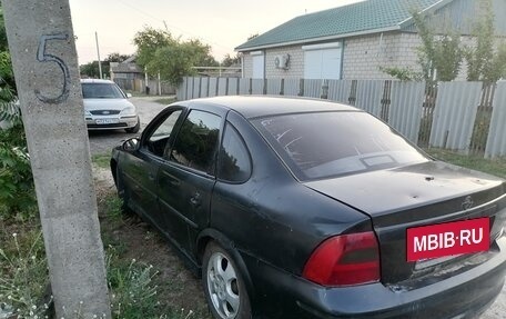 Opel Vectra B рестайлинг, 1999 год, 300 000 рублей, 3 фотография