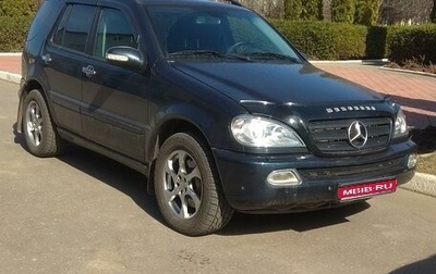 Mercedes-Benz M-Класс, 2002 год, 750 000 рублей, 1 фотография