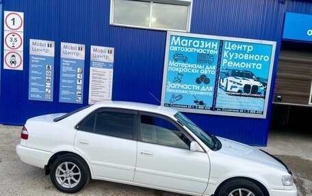 Toyota Corolla, 1998 год, 510 000 рублей, 4 фотография