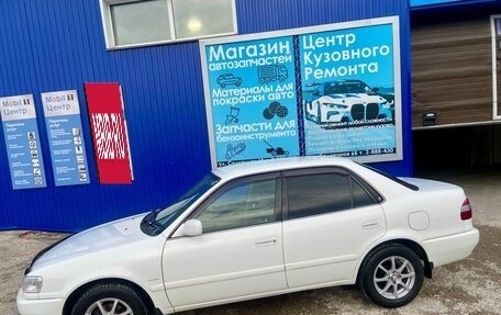 Toyota Corolla, 1998 год, 510 000 рублей, 2 фотография