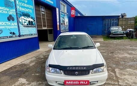 Toyota Corolla, 1998 год, 510 000 рублей, 7 фотография