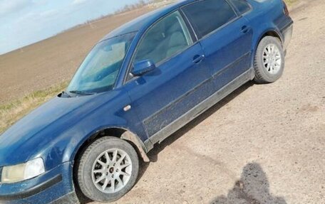 Volkswagen Passat B5+ рестайлинг, 1998 год, 230 000 рублей, 4 фотография