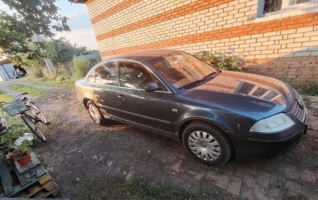 Volkswagen Passat B5+ рестайлинг, 2001 год, 400 000 рублей, 3 фотография