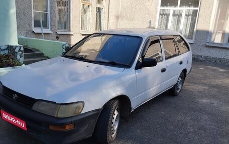 Toyota Corolla, 2000 год, 300 000 рублей, 1 фотография