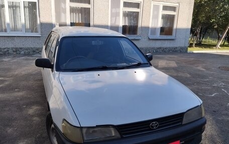 Toyota Corolla, 2000 год, 300 000 рублей, 2 фотография