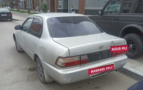 Toyota Corolla, 1994 год, 220 000 рублей, 4 фотография