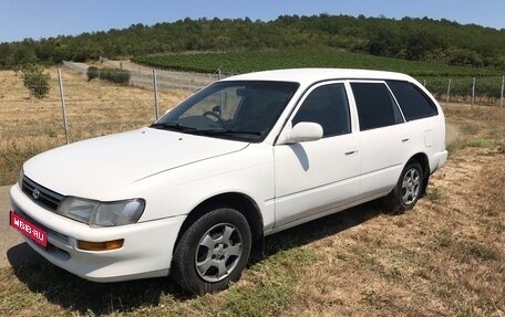 Toyota Corolla, 1996 год, 330 000 рублей, 1 фотография