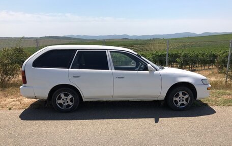 Toyota Corolla, 1996 год, 330 000 рублей, 7 фотография