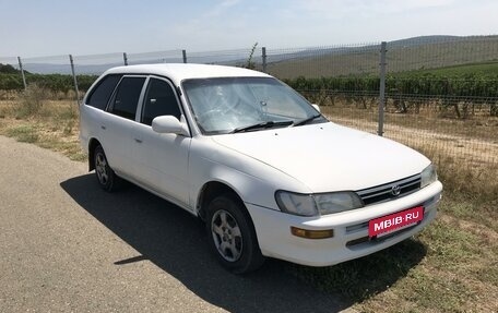 Toyota Corolla, 1996 год, 330 000 рублей, 3 фотография