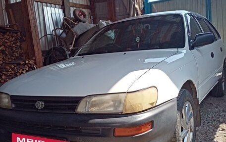 Toyota Corolla, 2002 год, 375 000 рублей, 2 фотография