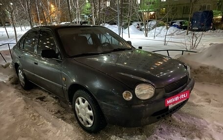 Toyota Corolla, 1999 год, 500 000 рублей, 2 фотография