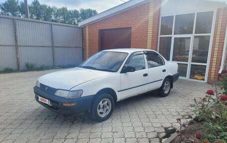 Toyota Corolla, 1994 год, 170 000 рублей, 2 фотография