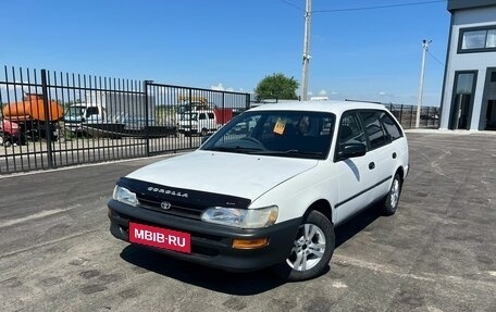 Toyota Corolla, 1999 год, 1 фотография