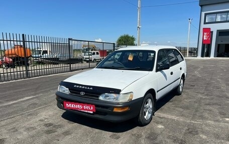 Toyota Corolla, 1999 год, 2 фотография