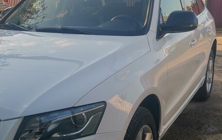 Audi Q5, 2010 год, 1 400 000 рублей, 1 фотография