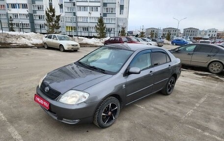 Toyota Corolla, 2003 год, 550 000 рублей, 1 фотография