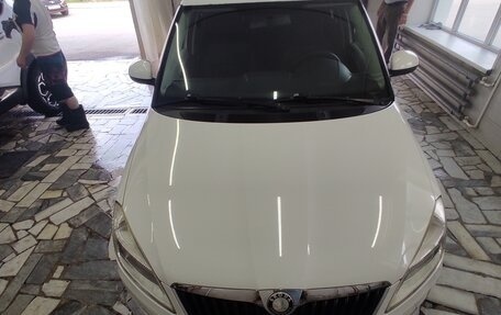 Skoda Fabia II, 2010 год, 680 000 рублей, 1 фотография