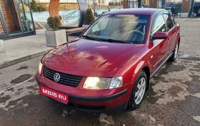 Volkswagen Passat B5+ рестайлинг, 1999 год, 500 000 рублей, 1 фотография