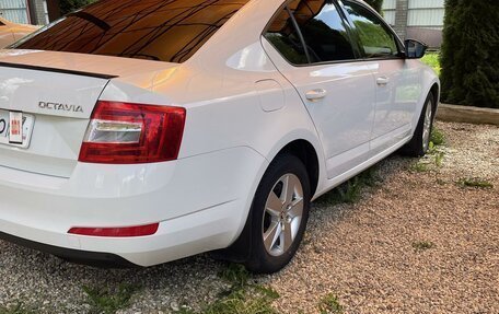 Skoda Octavia, 2015 год, 1 650 000 рублей, 4 фотография