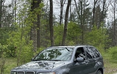 BMW X5, 2003 год, 1 085 000 рублей, 1 фотография