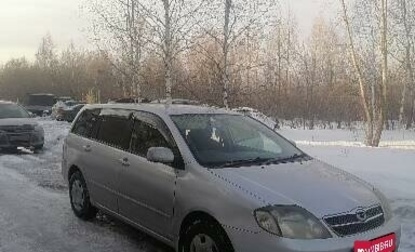 Toyota Corolla, 2003 год, 700 000 рублей, 1 фотография