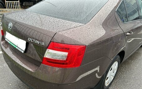 Skoda Octavia, 2020 год, 1 920 000 рублей, 4 фотография