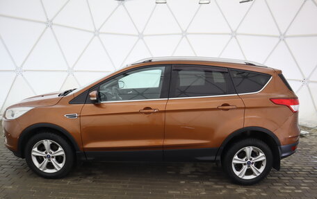 Ford Kuga III, 2014 год, 1 460 000 рублей, 6 фотография