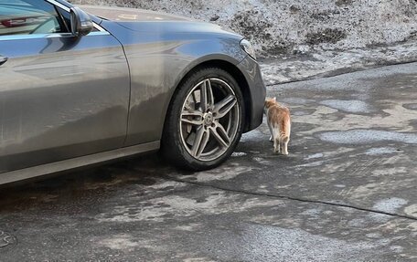 Mercedes-Benz E-Класс, 2017 год, 3 650 000 рублей, 11 фотография