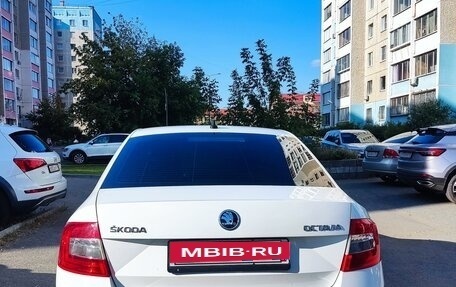 Skoda Octavia, 2017 год, 1 600 000 рублей, 3 фотография