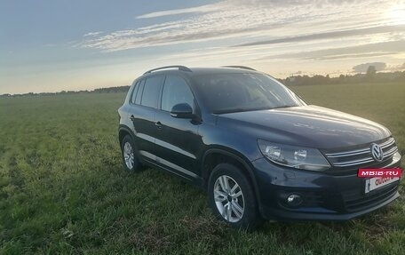 Volkswagen Tiguan I, 2014 год, 1 300 000 рублей, 4 фотография